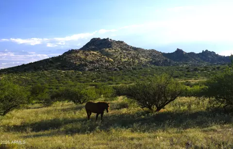 tbd E Walker Ranch Rd #'-', Dragoon, AZ 85609 photo 12