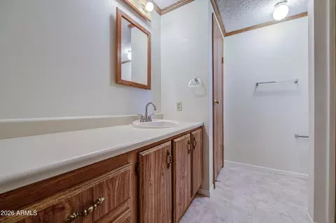 233 S 75th Way, Mesa, AZ 85208 photo 28