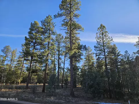 2500 S Pinegrass Rd, Show Low, AZ 85901