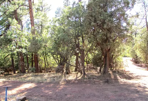 Other - 6413 W Barton Dr, Pine, AZ 85544 photo 6 of 7
