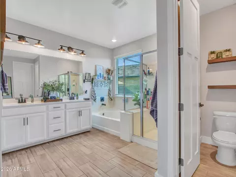 Other - 13508 W Range Mule Dr, Peoria, AZ 85383 photo 42 of 47