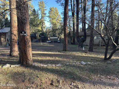 6384 W Jan Dr, Pine, AZ 85544