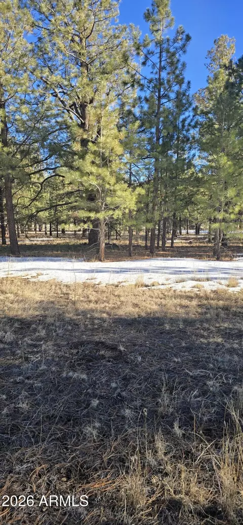 14 County Road N 1332 -- #36, Greer, AZ 85927