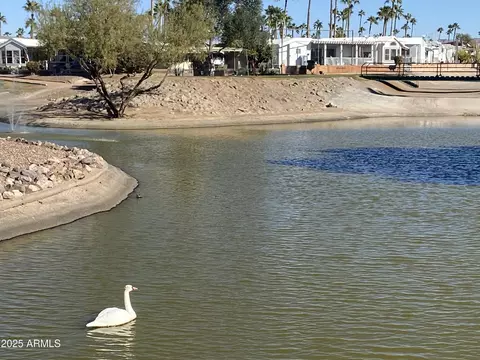 2301 S Seminole Dr #301, Apache Junction, AZ 85119 photo 19