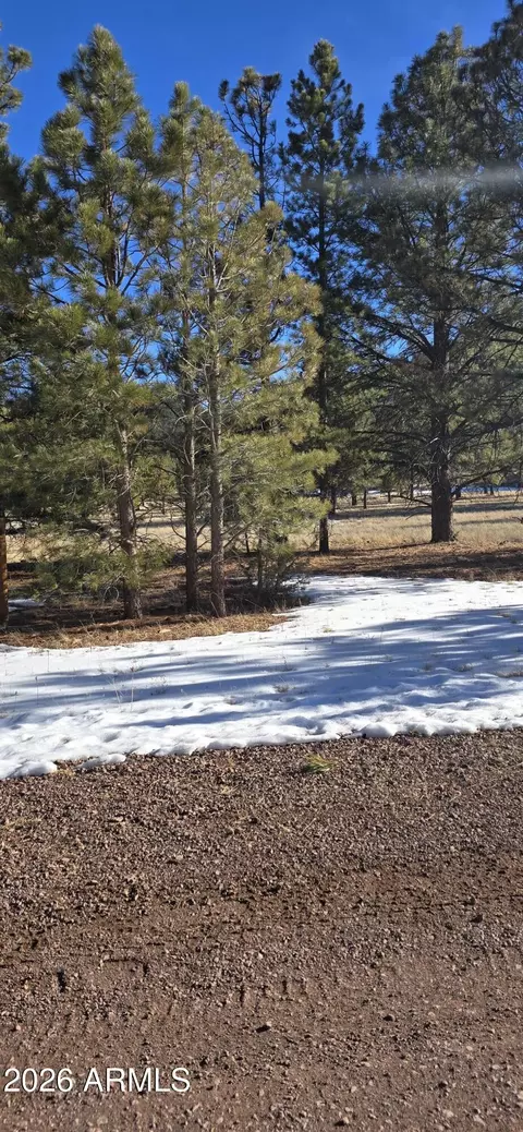 20 County Road N 1332 -- #37, Greer, AZ 85927
