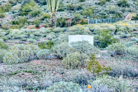 9675 N Bowman Rd #-, Apache Junction, AZ 85119 photo 10