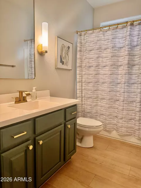 Bath - 2997 E Agritopia Loop N, Gilbert, AZ 85296 photo 1 of 4