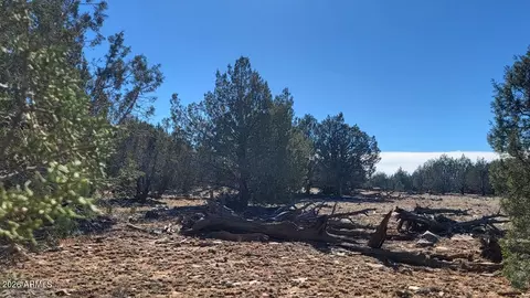861 W2 Cable Rd #-, Williams, AZ 86046 photo 8