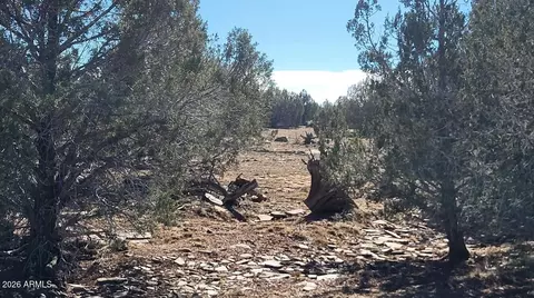 861 W2 Cable Rd #-, Williams, AZ 86046 photo 5