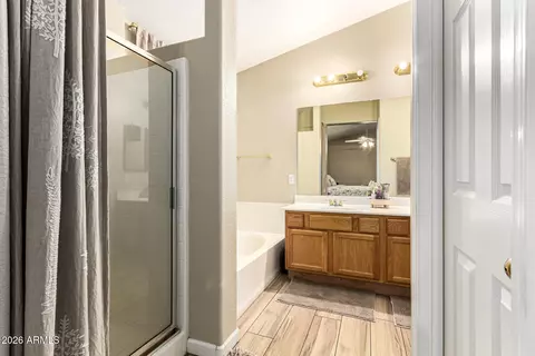 Bath - 7344 E Medina Ave, Mesa, AZ 85209 photo 1 of 4