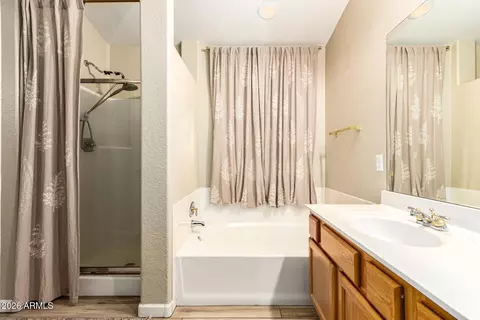 Bath - 7344 E Medina Ave, Mesa, AZ 85209 photo 3 of 4