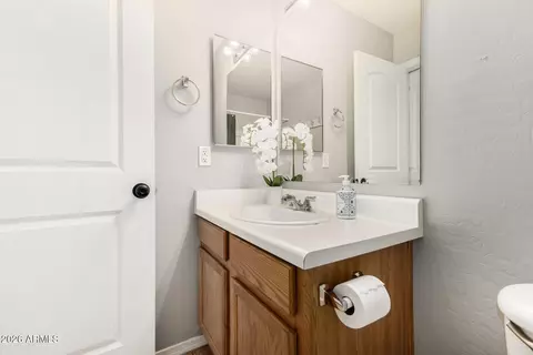 Bath - 4330 E Jasper Dr, Gilbert, AZ 85296 photo 3 of 3