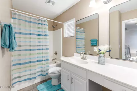 Bath - 10518 E Dolphin Ave, Mesa, AZ 85208 photo 4 of 4