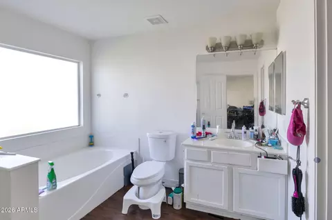 Bath - 9236 E Medina Ave, Mesa, AZ 85209 photo 2 of 2