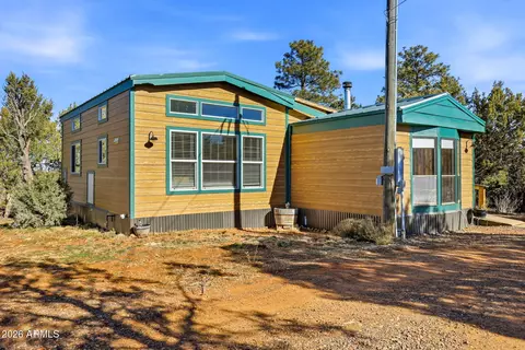 3580 Power Line Dr, Overgaard, AZ 85933 photo 2