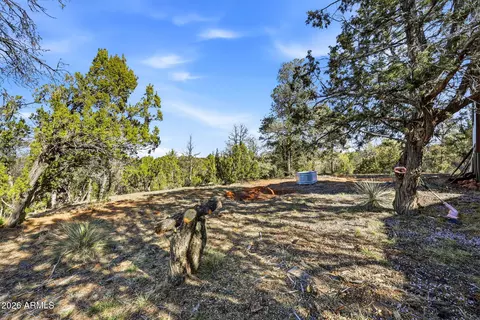 3580 Power Line Dr, Overgaard, AZ 85933 photo 23