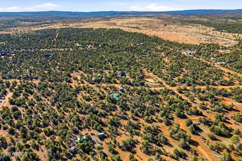 3580 Power Line Dr, Overgaard, AZ 85933 photo 30