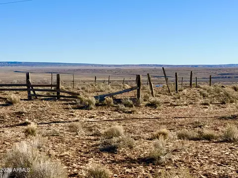 0 N7009 40 Acres -- #-, Chambers, AZ 86502