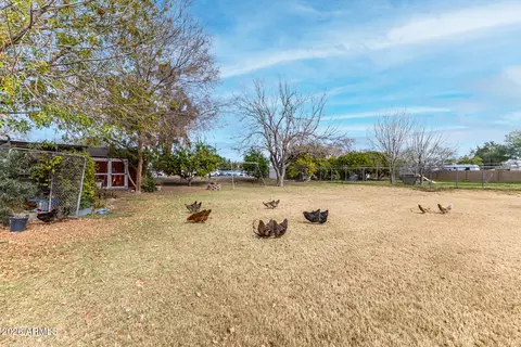 Exterior - 338 E Harvard Ave, Gilbert, AZ 85234 photo 12 of 15
