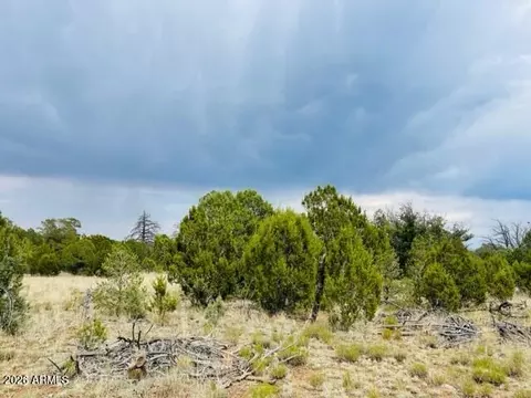 8418 Haven Crest Dr #223, Happy Jack, AZ 86024