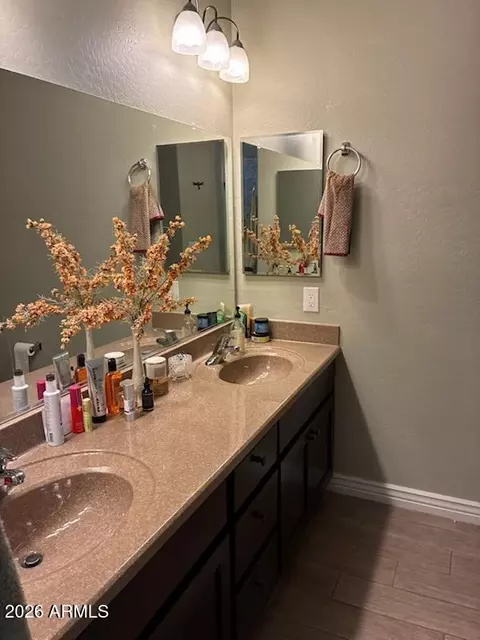 Bath - 10960 E Monte Ave #248, Mesa, AZ 85209 photo 1 of 7