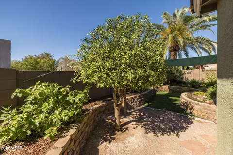 Exterior - 9722 E Lobo Ave, Mesa, AZ 85209 photo 13 of 13