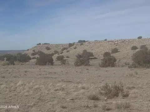 lot138 River Springs Rnch #138, Saint Johns, AZ 85936