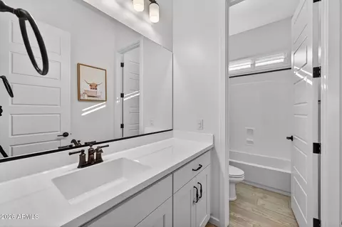 Bath - 8146 E June St, Mesa, AZ 85207 photo 1 of 5
