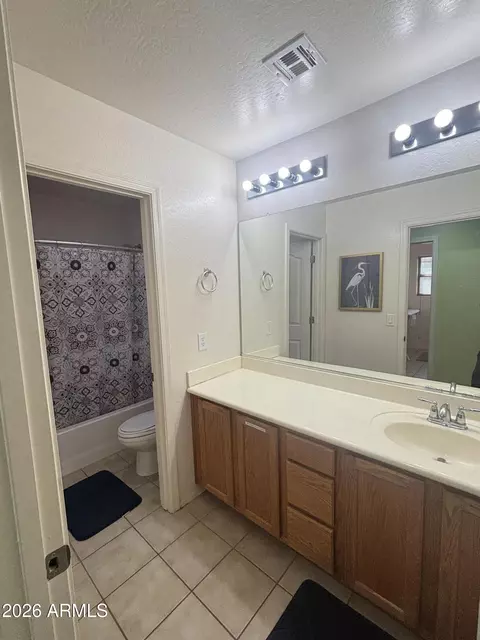 Bath - 3296 E Oakland St, Gilbert, AZ 85295 photo 5 of 5