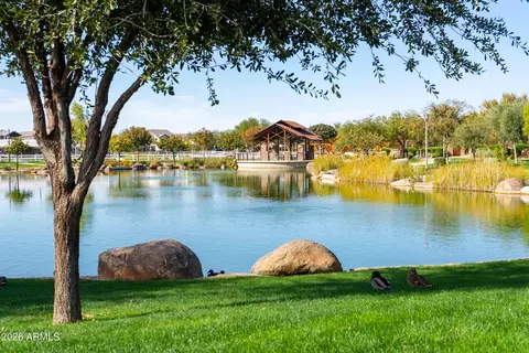 View/Area - 9817 E Strobe Ave, Mesa, AZ 85212 photo 6 of 12
