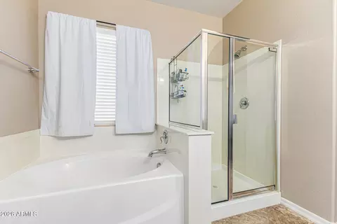 Bath - 11339 E Sable Ave, Mesa, AZ 85212 photo 2 of 4