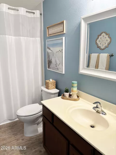 Bath - 2353 E Willow Wick Rd, Gilbert, AZ 85296 photo 5 of 6