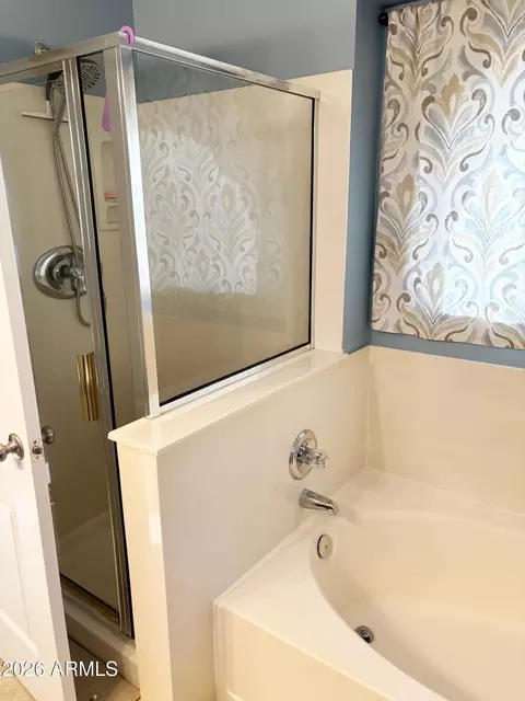 Bath - 2353 E Willow Wick Rd, Gilbert, AZ 85296 photo 3 of 6