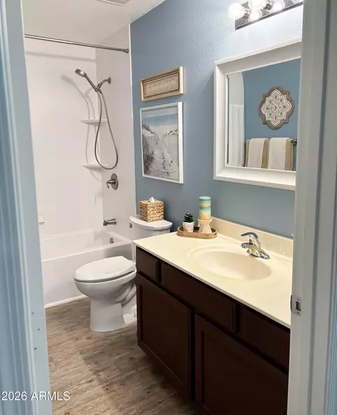 Bath - 2353 E Willow Wick Rd, Gilbert, AZ 85296 photo 4 of 6