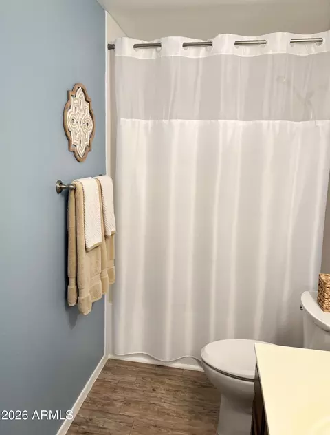 Bath - 2353 E Willow Wick Rd, Gilbert, AZ 85296 photo 6 of 6