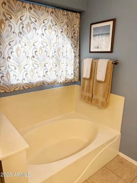 Bath - 2353 E Willow Wick Rd, Gilbert, AZ 85296 photo 2 of 6