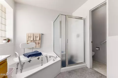 Bath - 8214 E Navarro Ave, Mesa, AZ 85209 photo 3 of 4