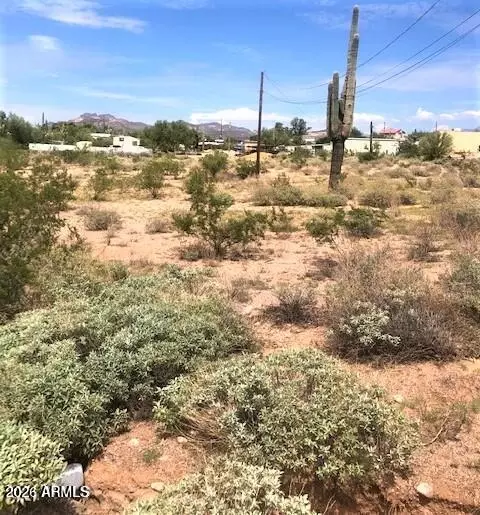 910 E Scenic St #-, Apache Junction, AZ 85119