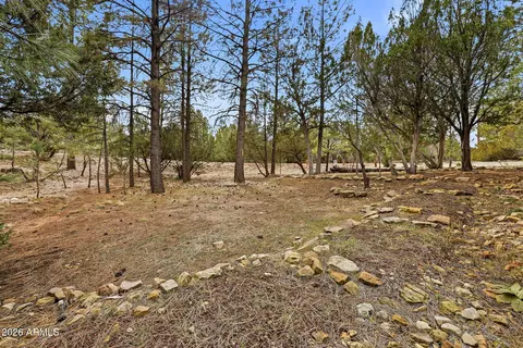 2008 Lexington --, Overgaard, AZ 85933 photo 9