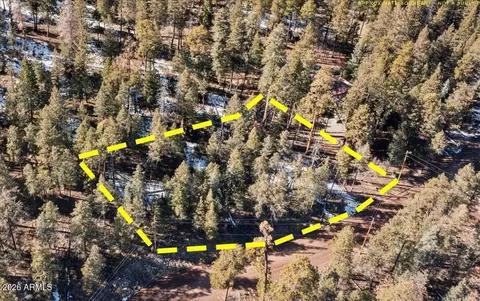 9 County Road 2073 -- #1, Alpine, AZ 85920