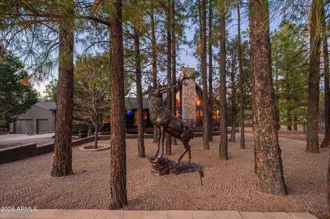 2214 Mountain Lion Ln, Overgaard, AZ 85933