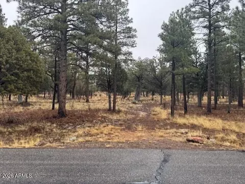 2625 Roundup Ln #246, Happy Jack, AZ 86024