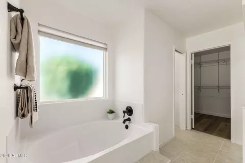Bath - 4101 E Morrow Dr, Phoenix, AZ 85050 photo 2 of 3