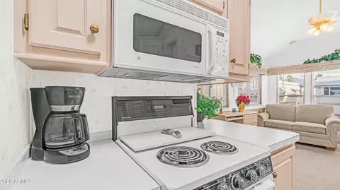 1017 Prospector Dr, Apache Junction, AZ 85119 photo 17