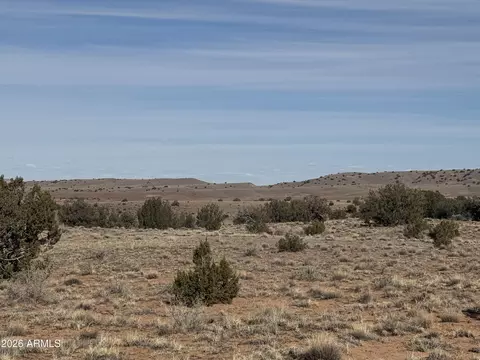 lot D Parcel -- #212-63-004-5152, Concho, AZ 85924