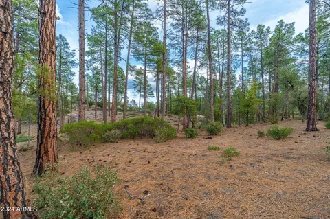 3109 E Game Trl #250, Payson, AZ 85541 photo 6