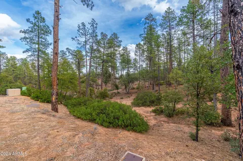 3109 E Game Trl #250, Payson, AZ 85541 photo 3