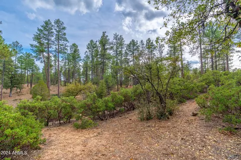 3109 E Game Trl #250, Payson, AZ 85541 photo 9