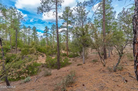 3109 E Game Trl #250, Payson, AZ 85541 photo 5