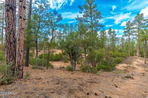 3109 E Game Trl #250, Payson, AZ 85541 photo 7